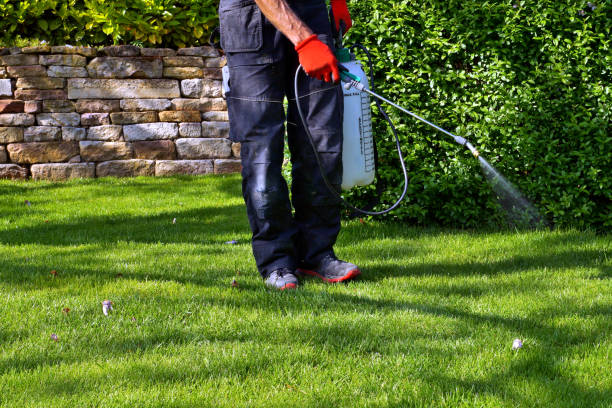 Best Lawn Pest Control  in Kenbridge, VA